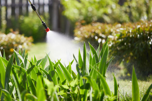 24/7 Emergency Termite Control experts in Mehlville, MO